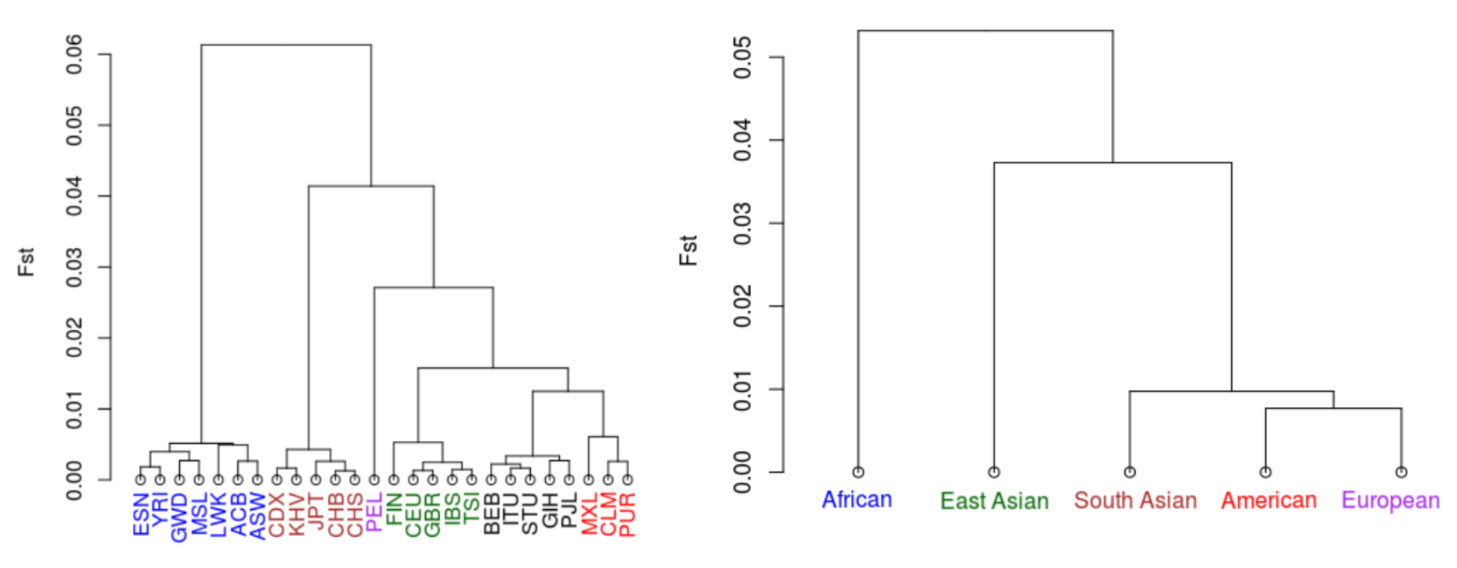Genetic Variation of miRNA Primary Transcripts